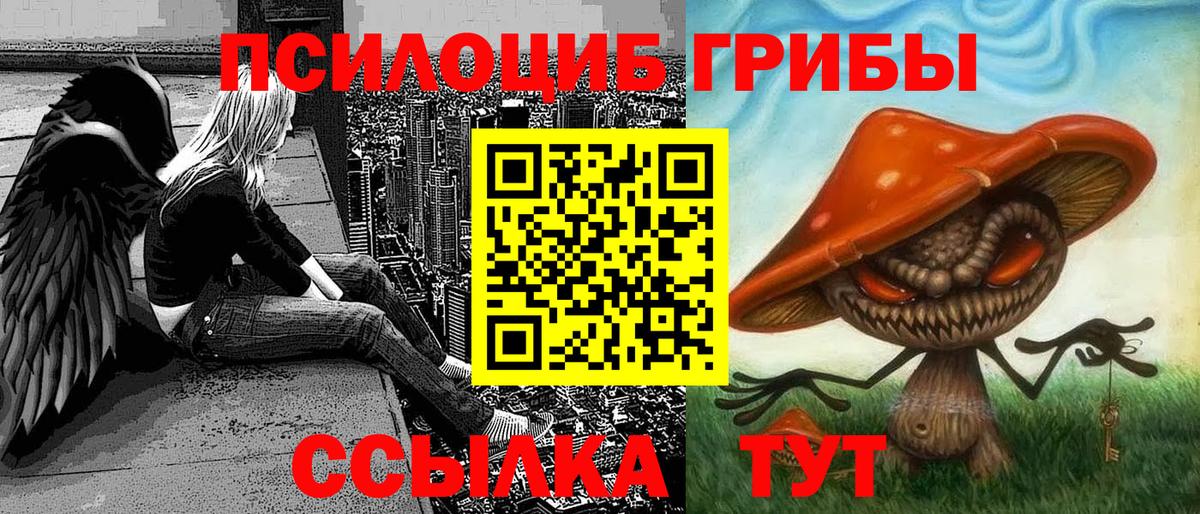 Галлюциногенные грибы прущие грибы Приморско-Ахтарск